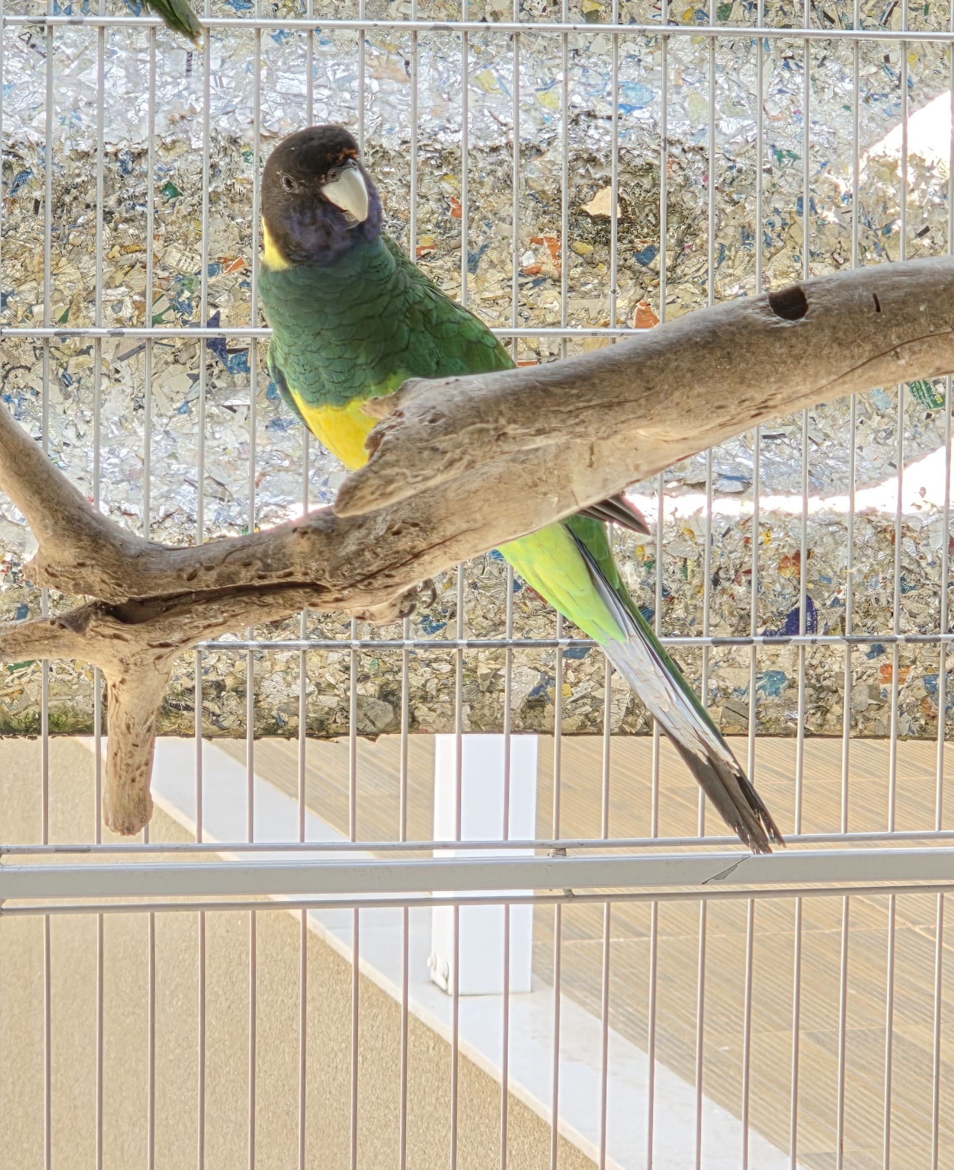 Casal Port Lilcon