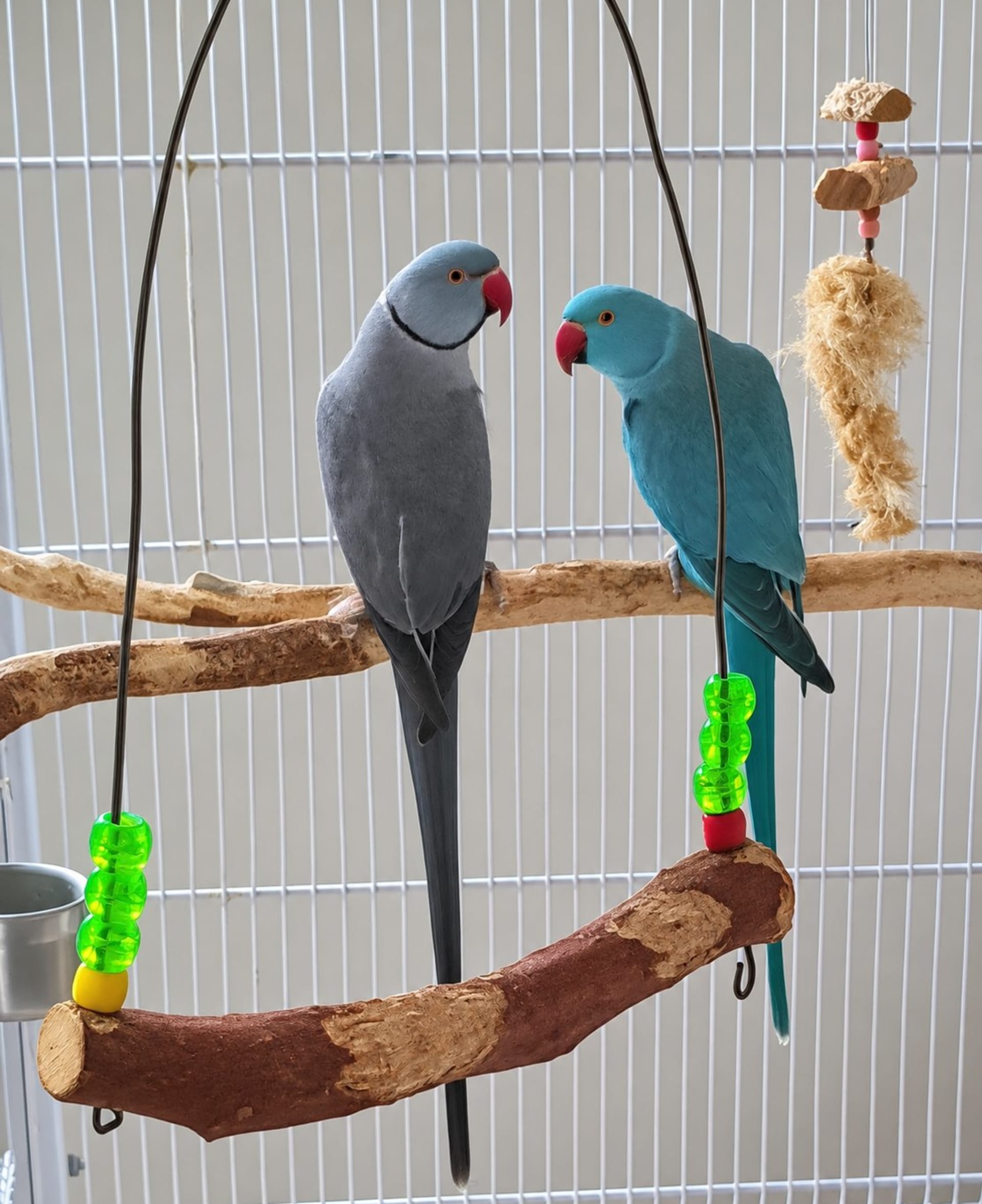 Casal Ring Neck Cobalto Duplo Fator Azul