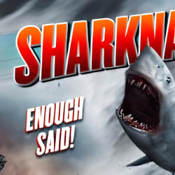 Production Main Artwork Image