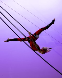 Creative Member Image