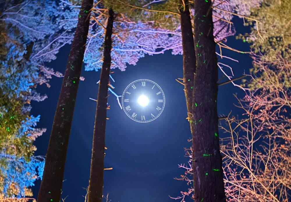 Home Background Image