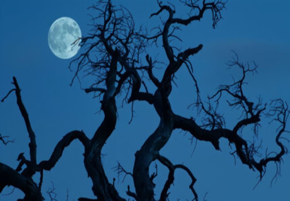 Home Background Image