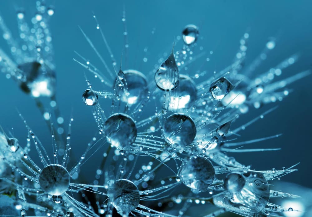 Home Background Image