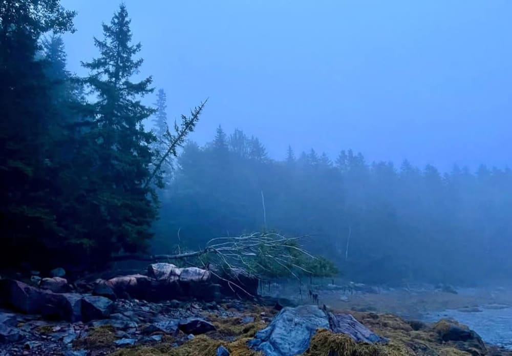 Home Background Image
