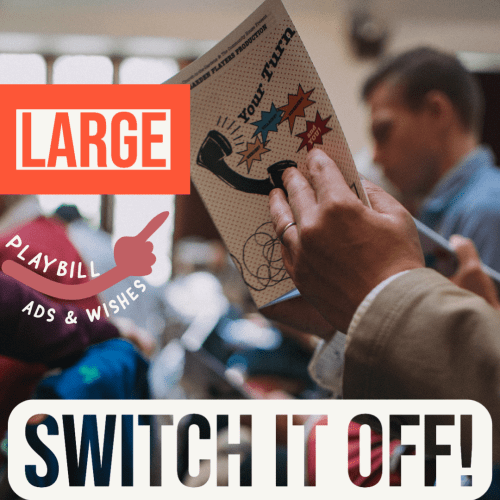 Large Program Ad