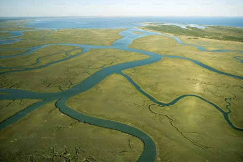 Estuary Sponsor