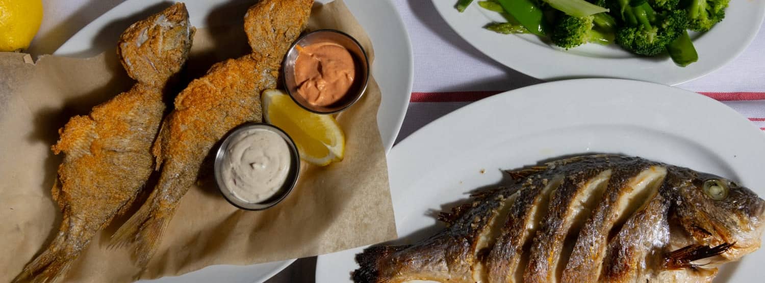 Discover HaShachaf's Intimate Fishermen's Bar on Park HaMesila