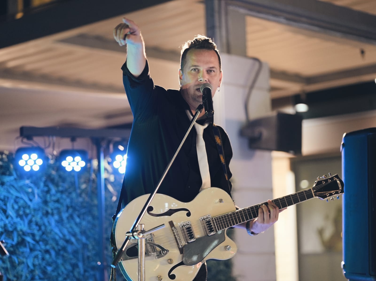 Lounge Singing Guitarist — photo 1