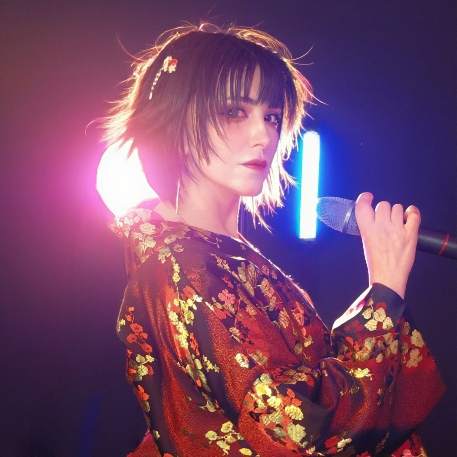 Solo singer — photo 1