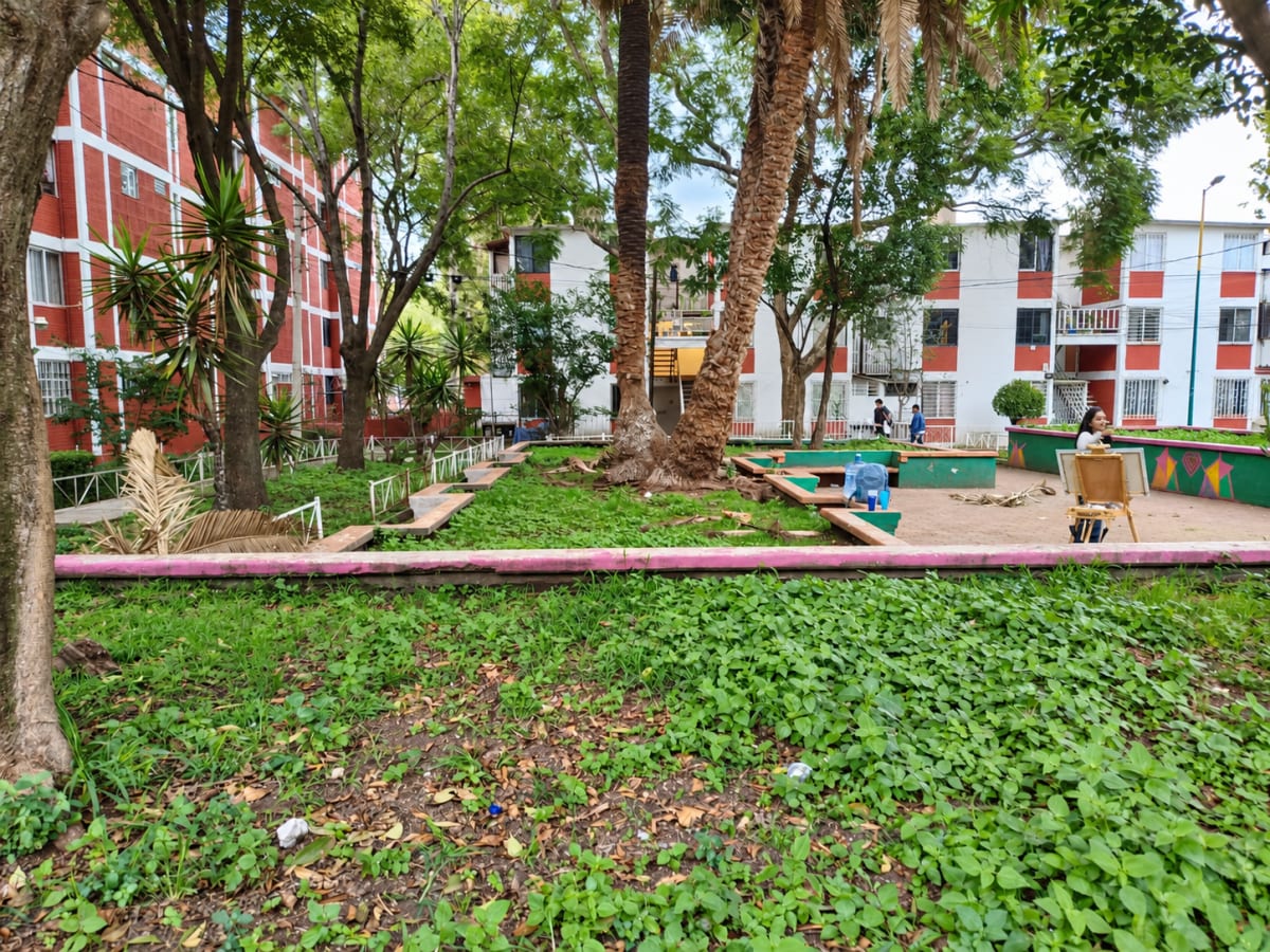 Vista de las jardineras con árboles