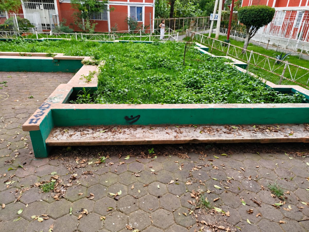 Detalle de una jardinera