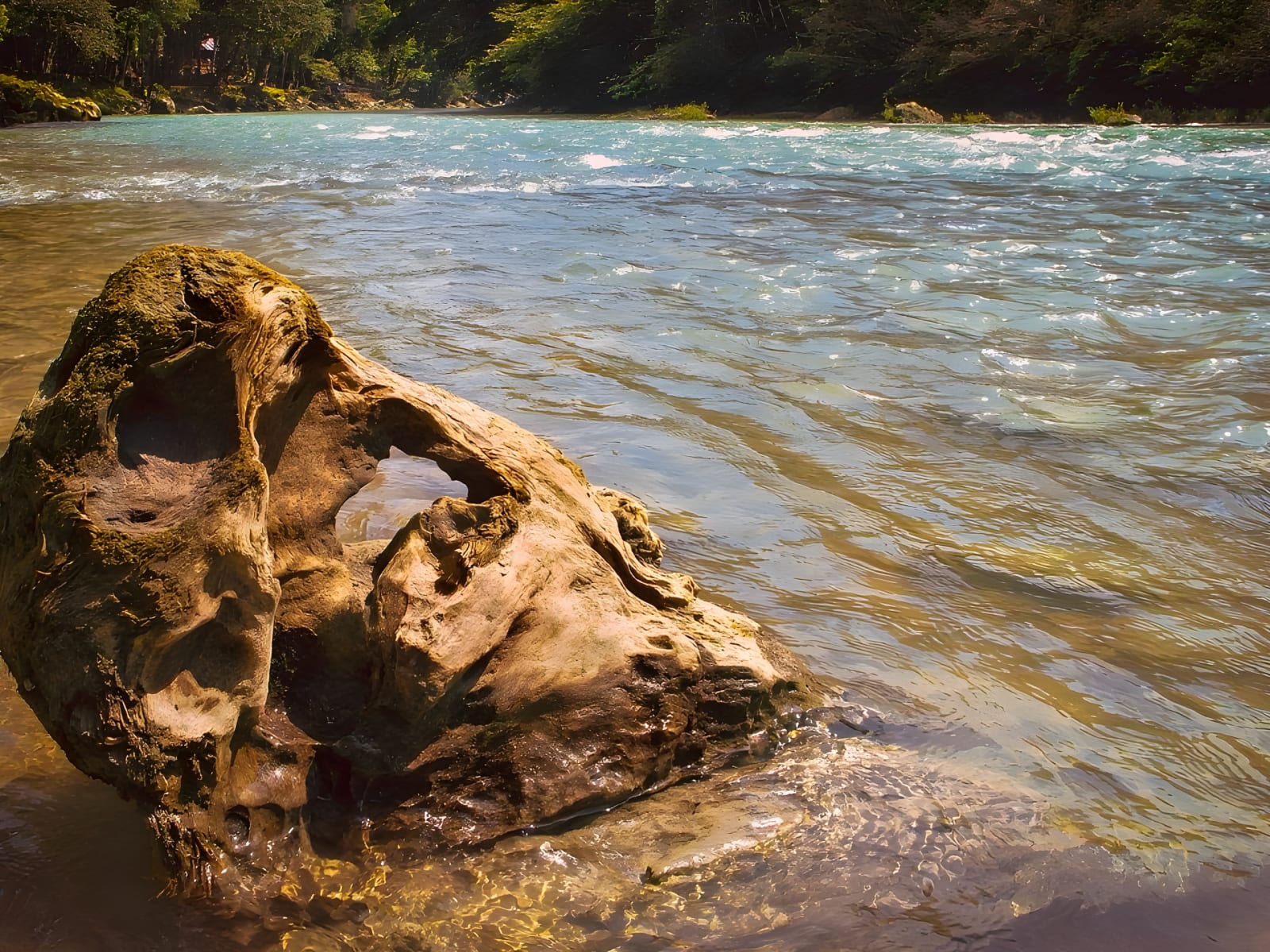 Cahabón River next to Semuc Champey
