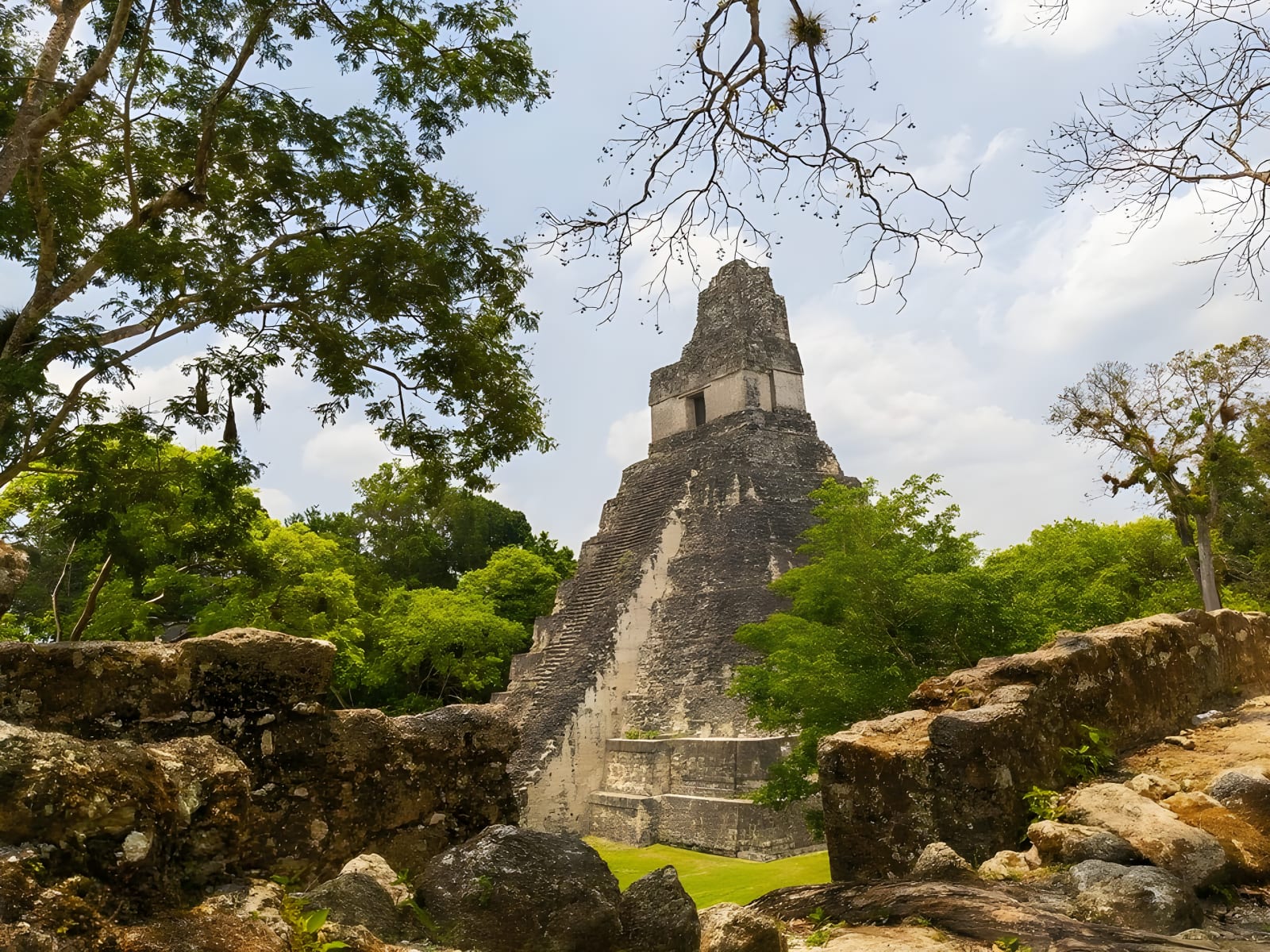 Tikal's Temple of the Great Jaguar in the jungle