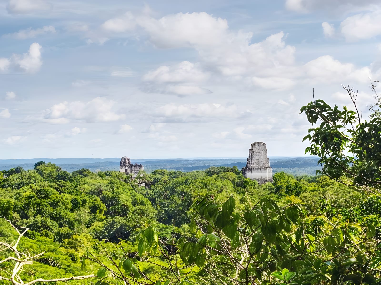 Tikal temples rising above the Petén jungle
