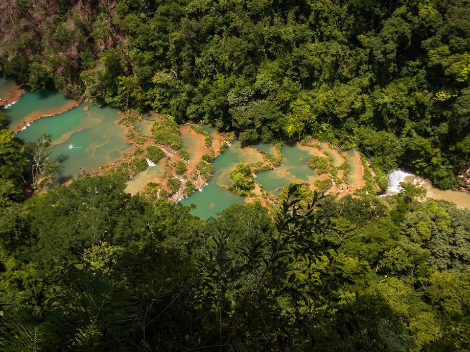 Pozas turquesa de Semuc Champey vistas desde el mirador