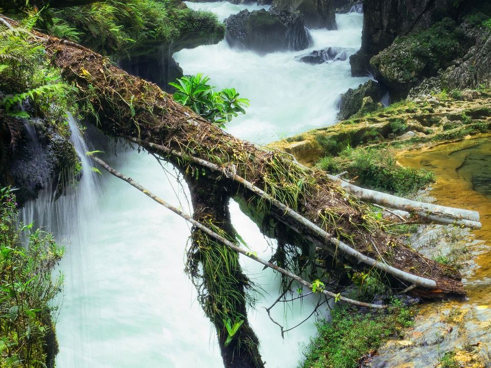 Cascada entre la selva de Semuc Champey