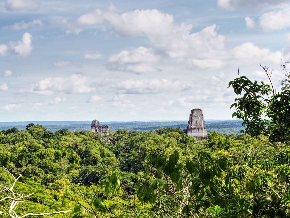 Templos de Tikal asomando sobre la selva de Petén
