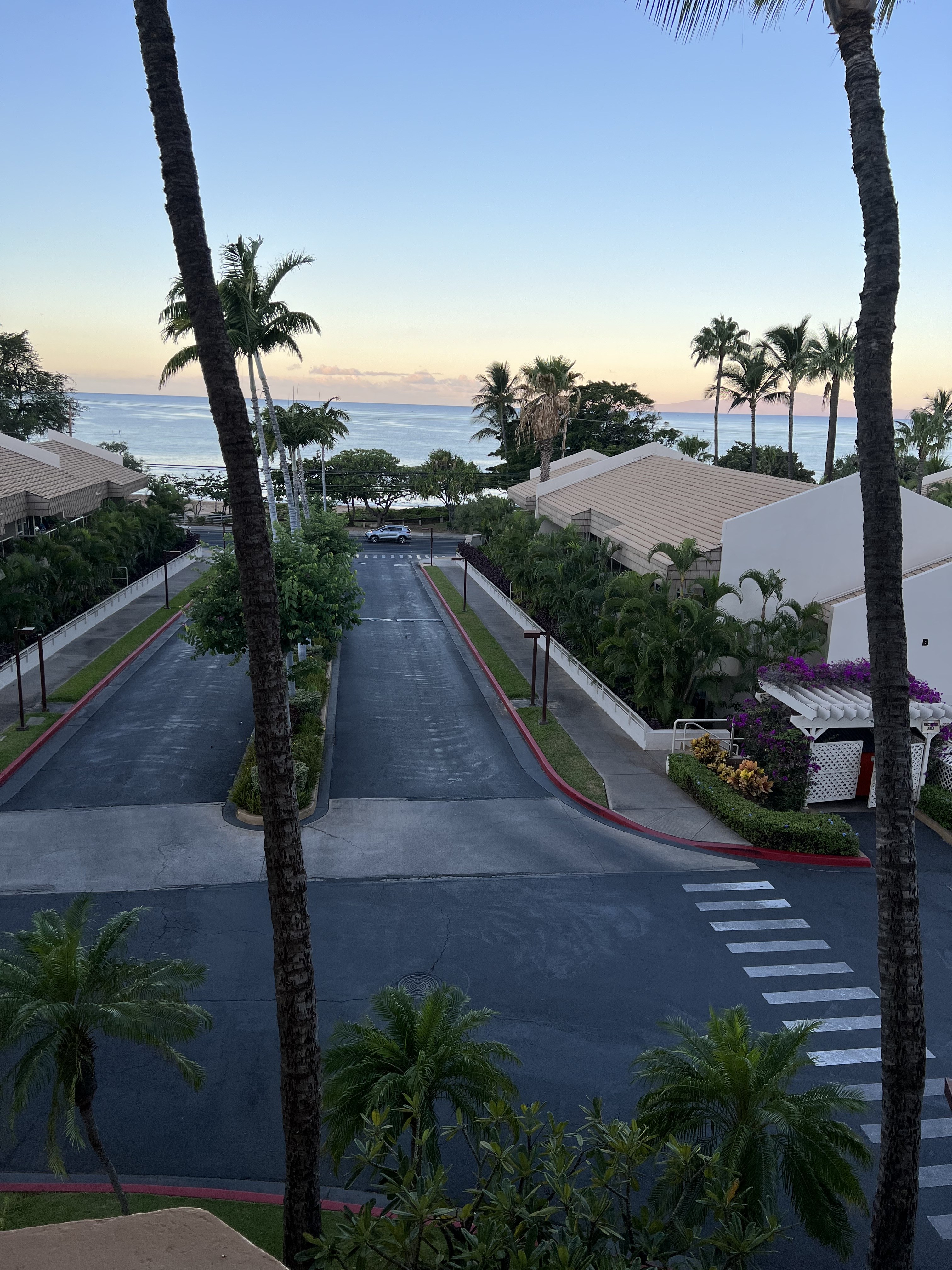 Palm-lined drive from Maui Banyan toward Kama'ole II beach
