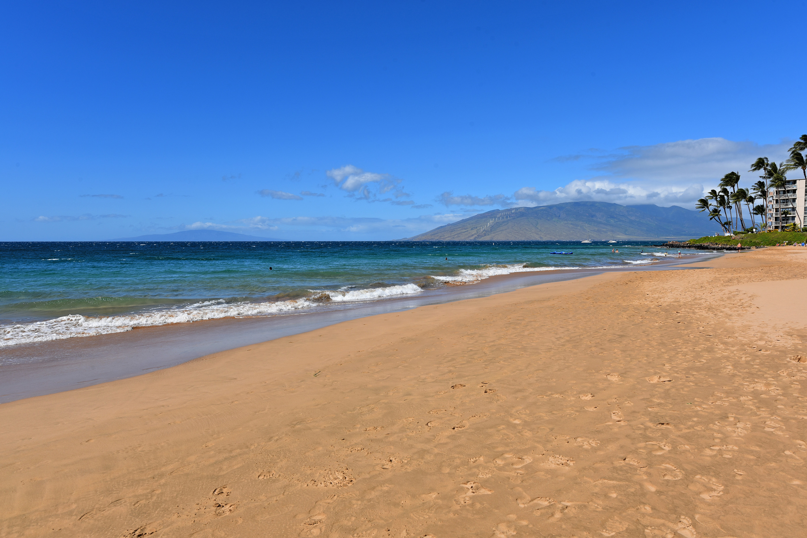 Seasonal Maui