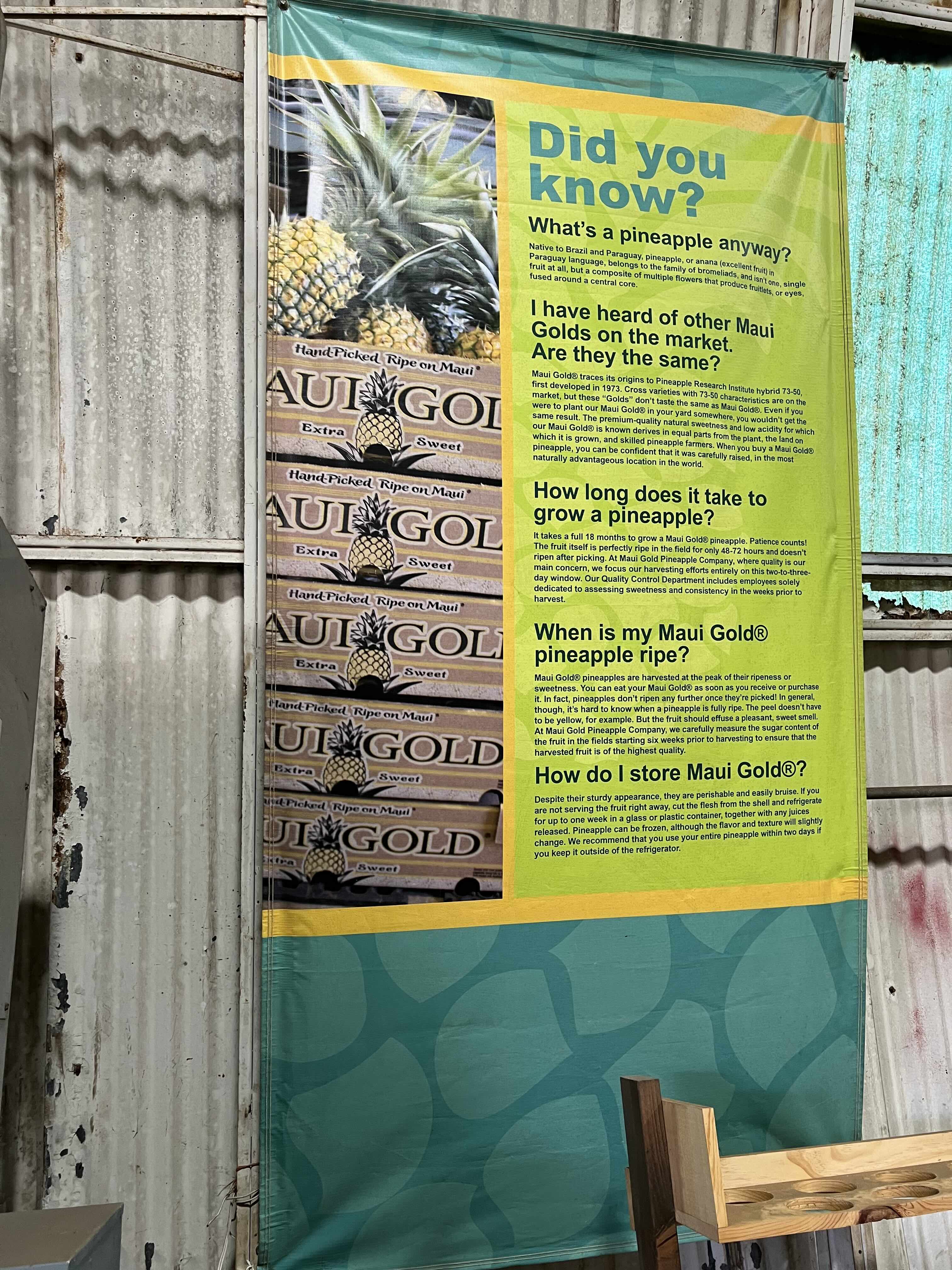 Maui Gold did you know