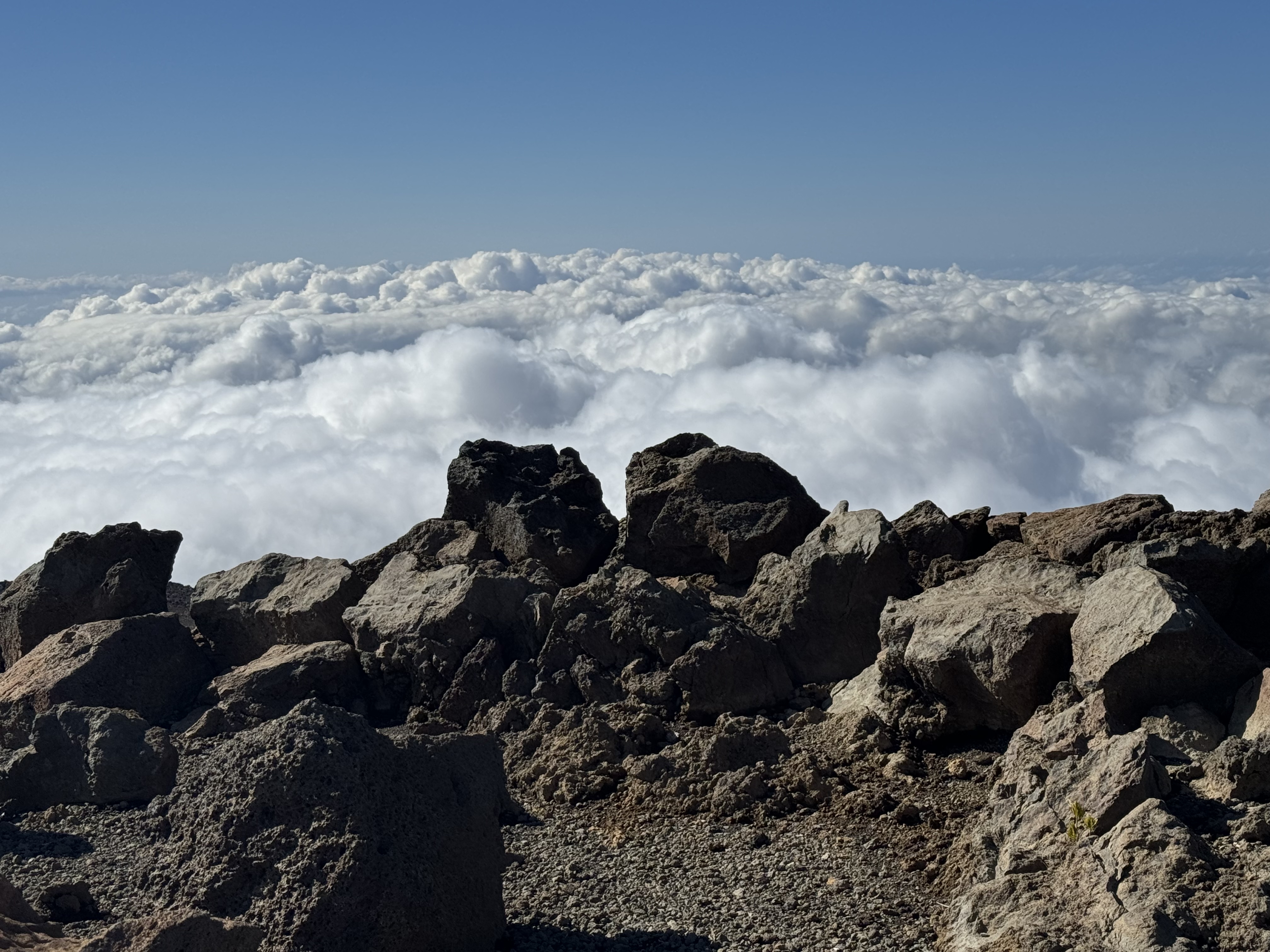Above the clouds at the Haleakalā summit