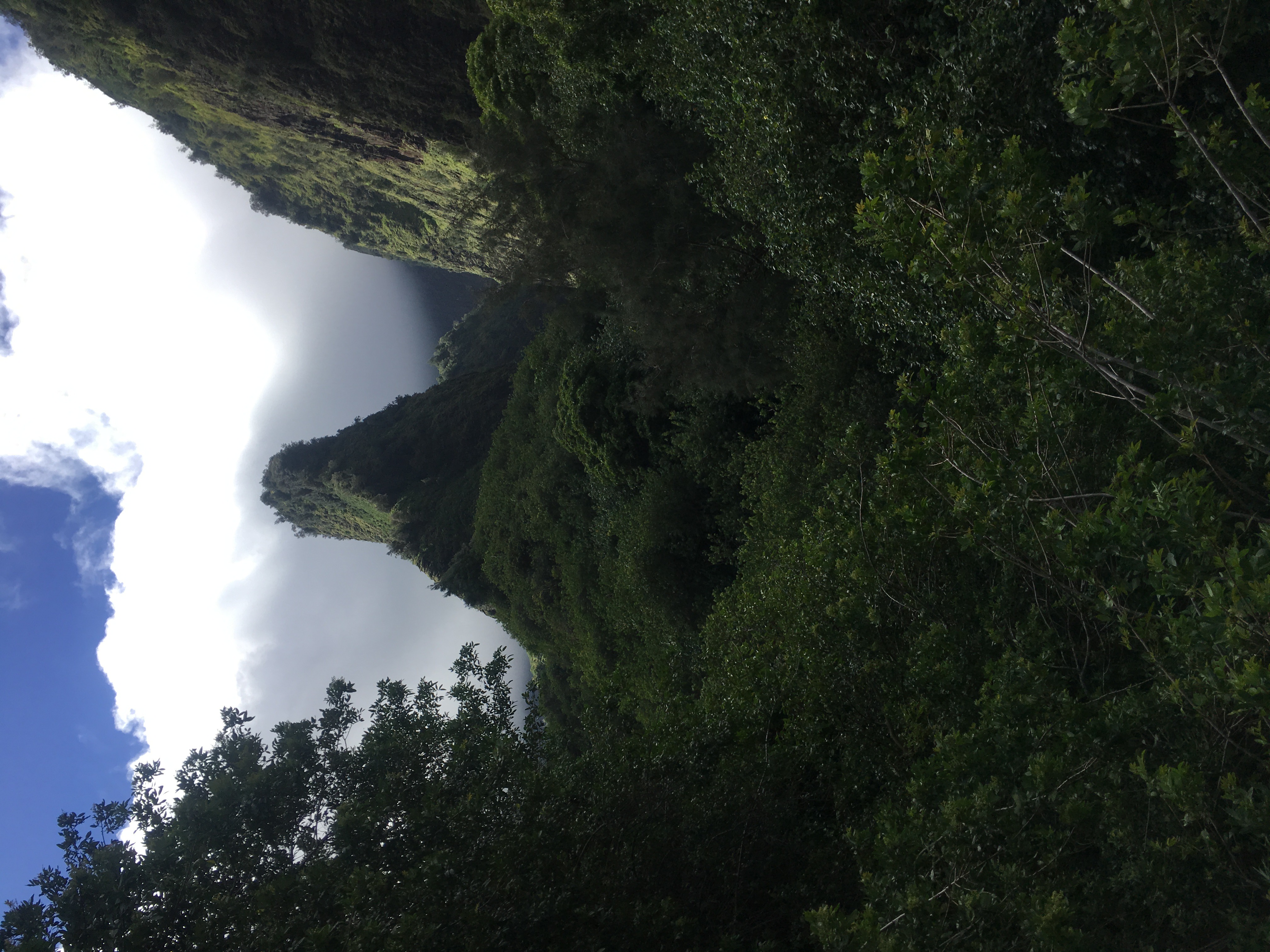 Iao Needle — the 1,200-foot basalt spire covered in dense green tropical vegetation, white clouds gathering behind it, steep valley walls on either side