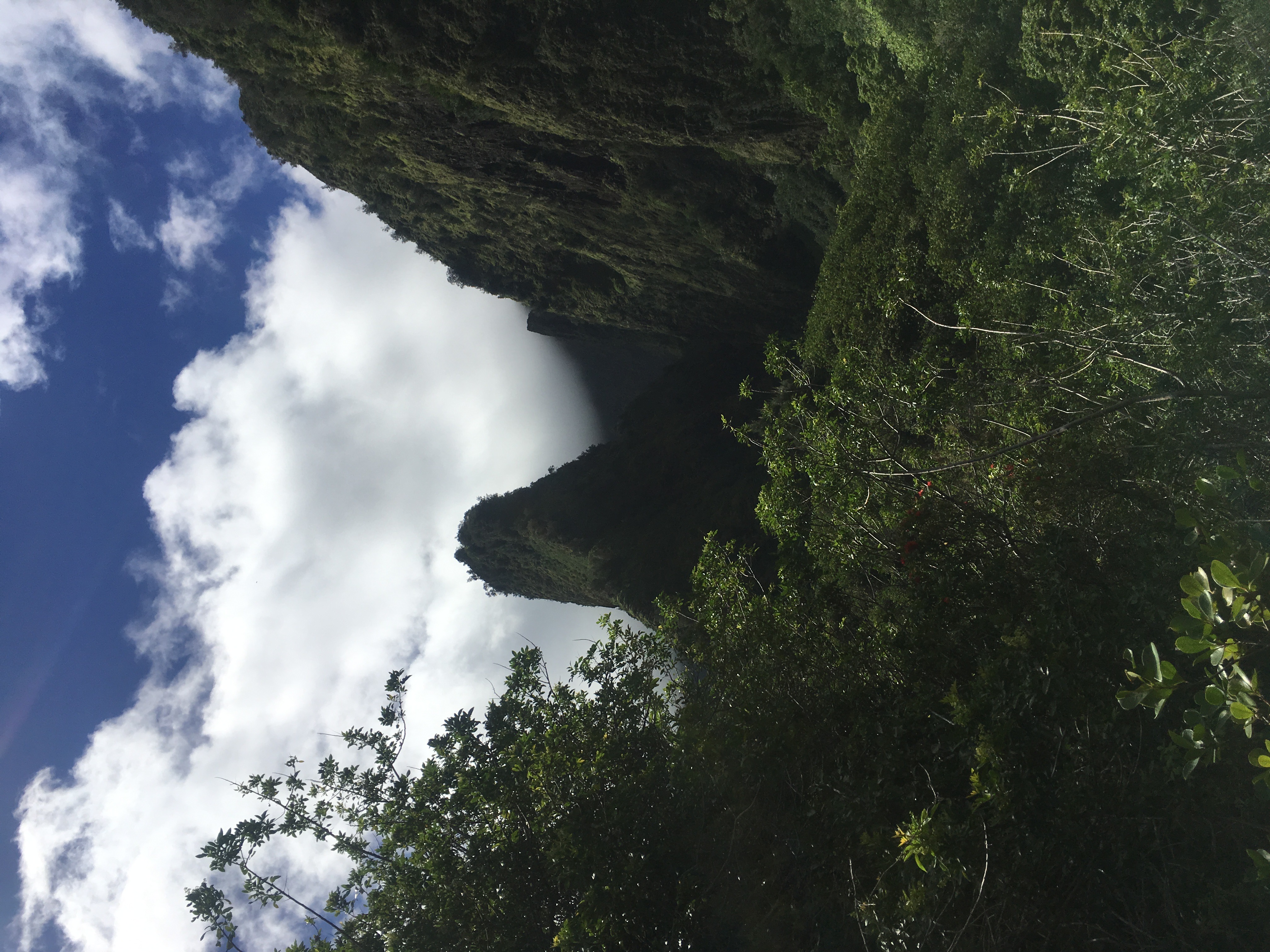 Iao Stream flowing through the valley floor — lush jungle walls rising steeply on both sides, visitors wading in the clear rocky streambed