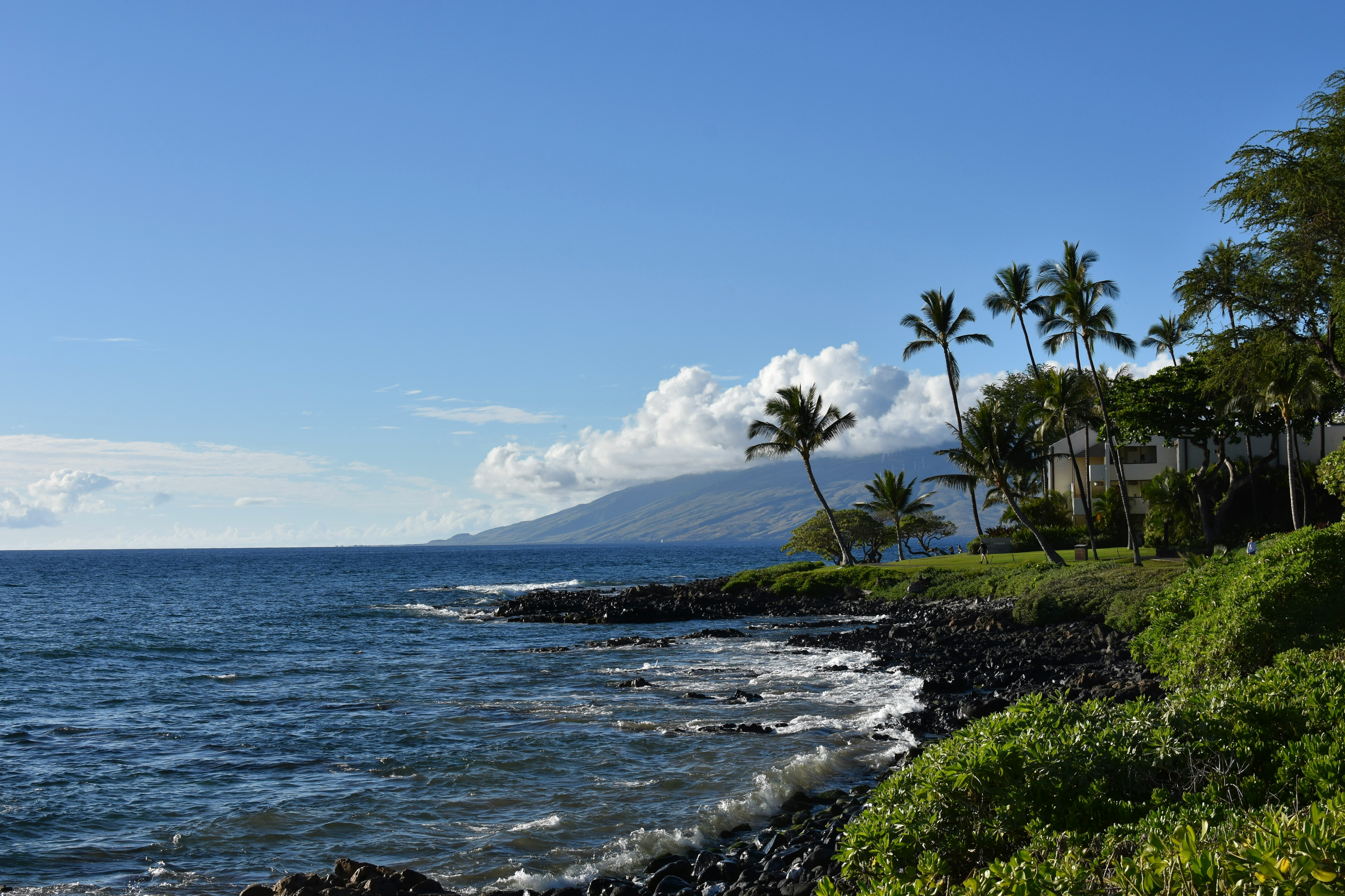 A secluded Maui beach with palm trees and a volcanic hill rising from the shore — the rugged beauty of South Maui's coastline