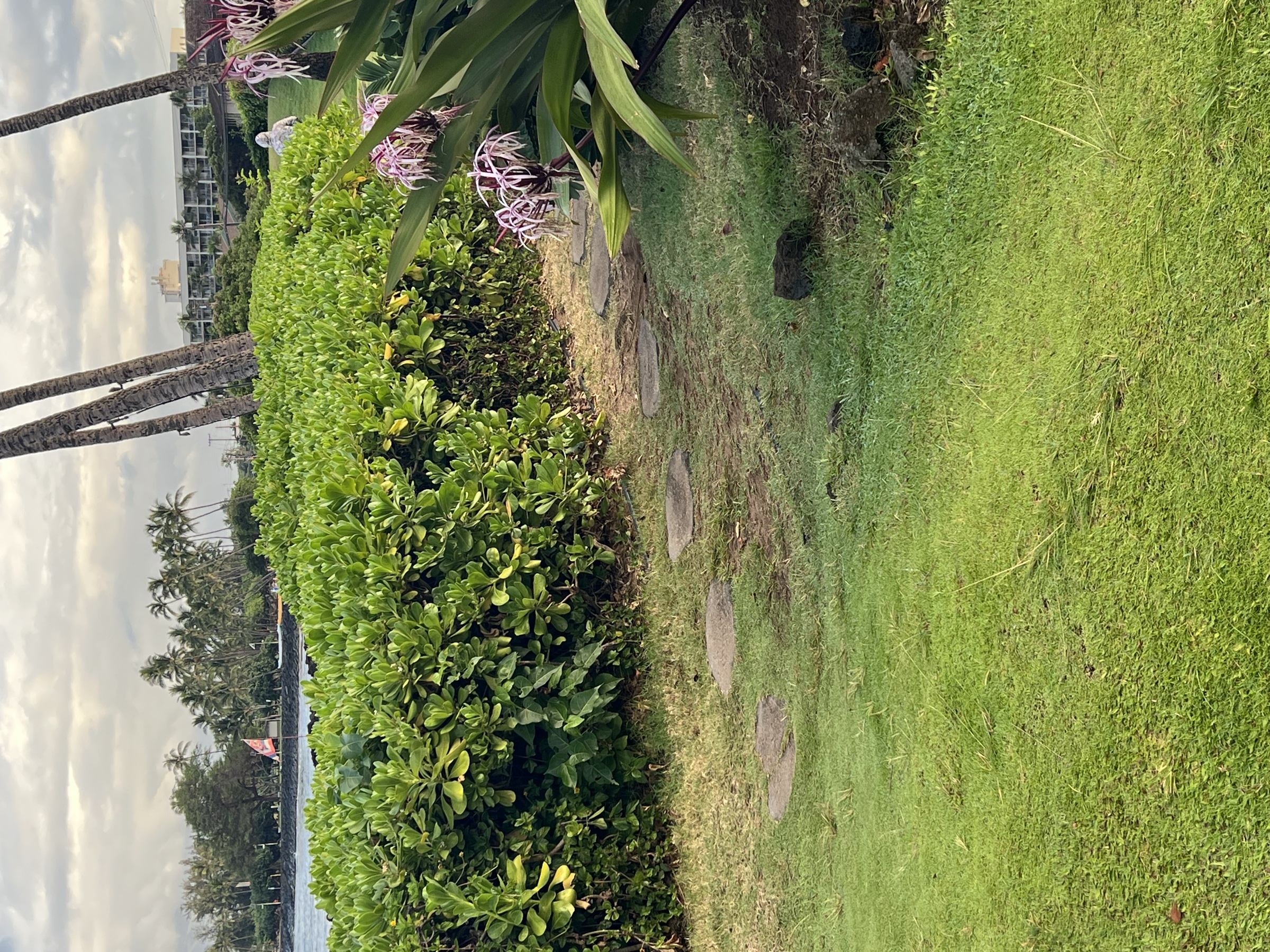 Stone path through condo landscaping between Kama'ole I and Charley Young Beach — leads to the overlook where you can watch surfers and canoes on the water below