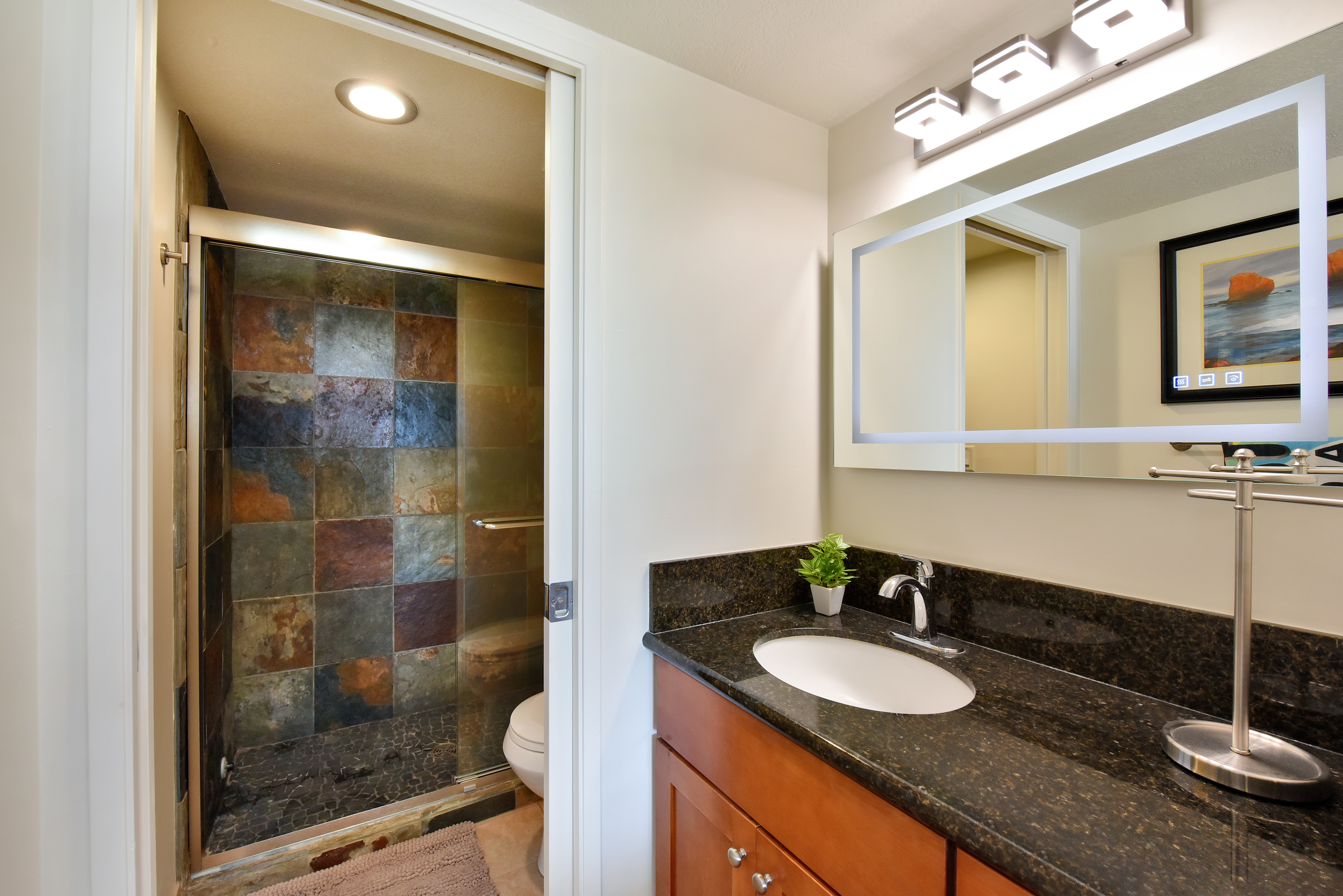 Guest bathroom