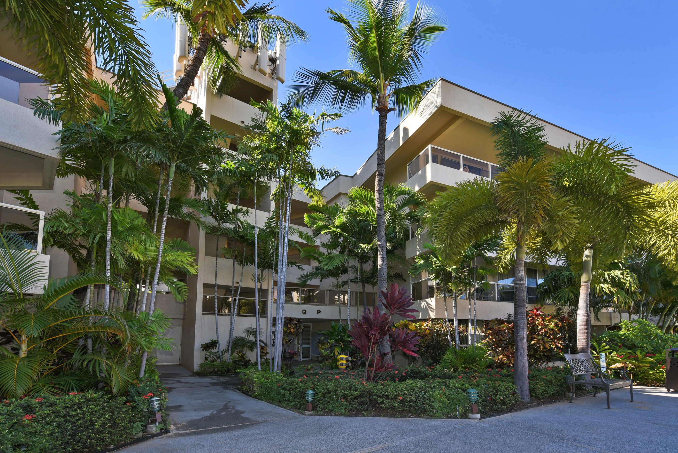 Maui Banyan Building P — tropical grounds