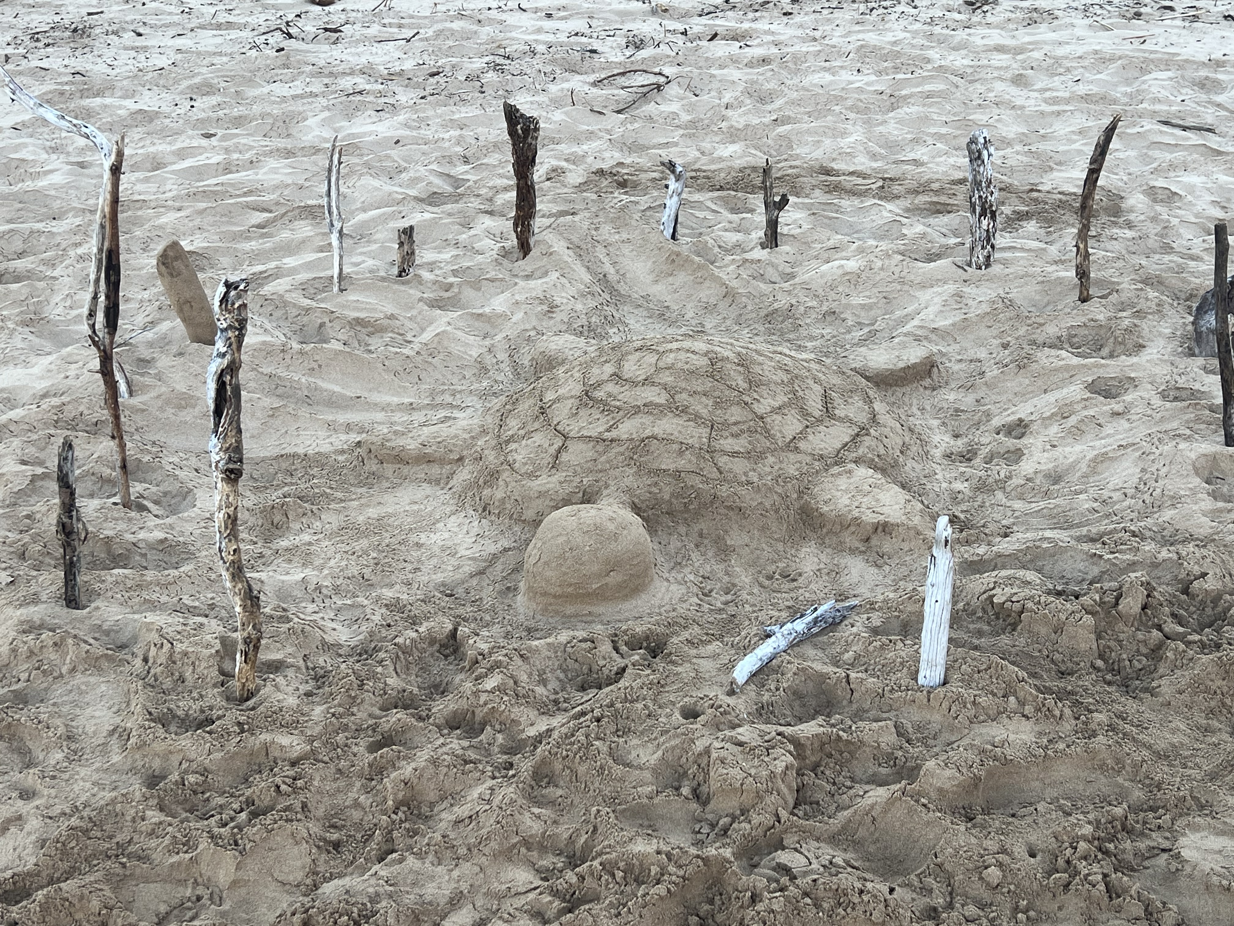 Sand turtle sculpture — overhead view showing shell detail and surrounding sticks, Kama'ole Beach