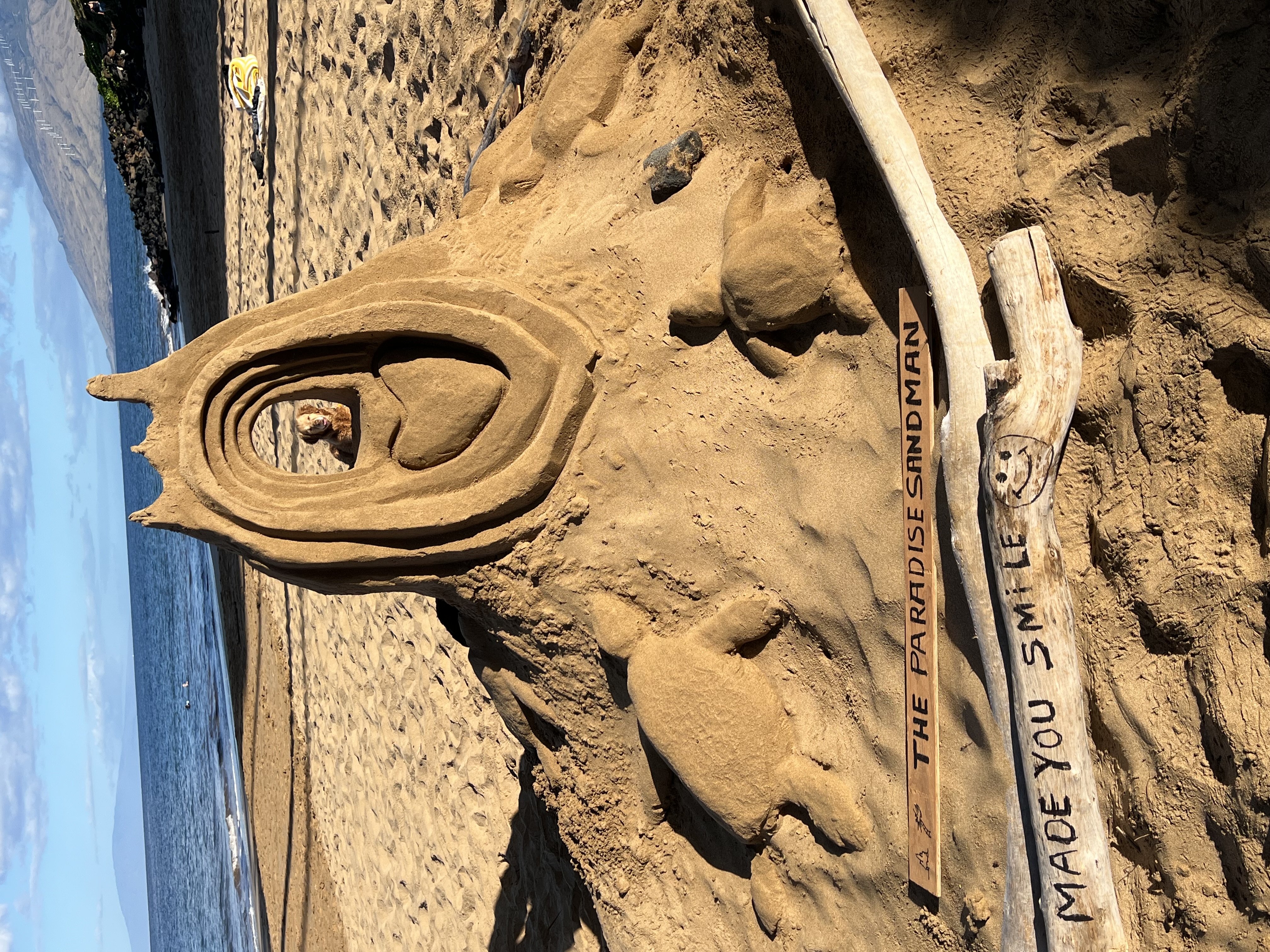 Kaija the dog looking through a sand castle portal, Kama'ole II