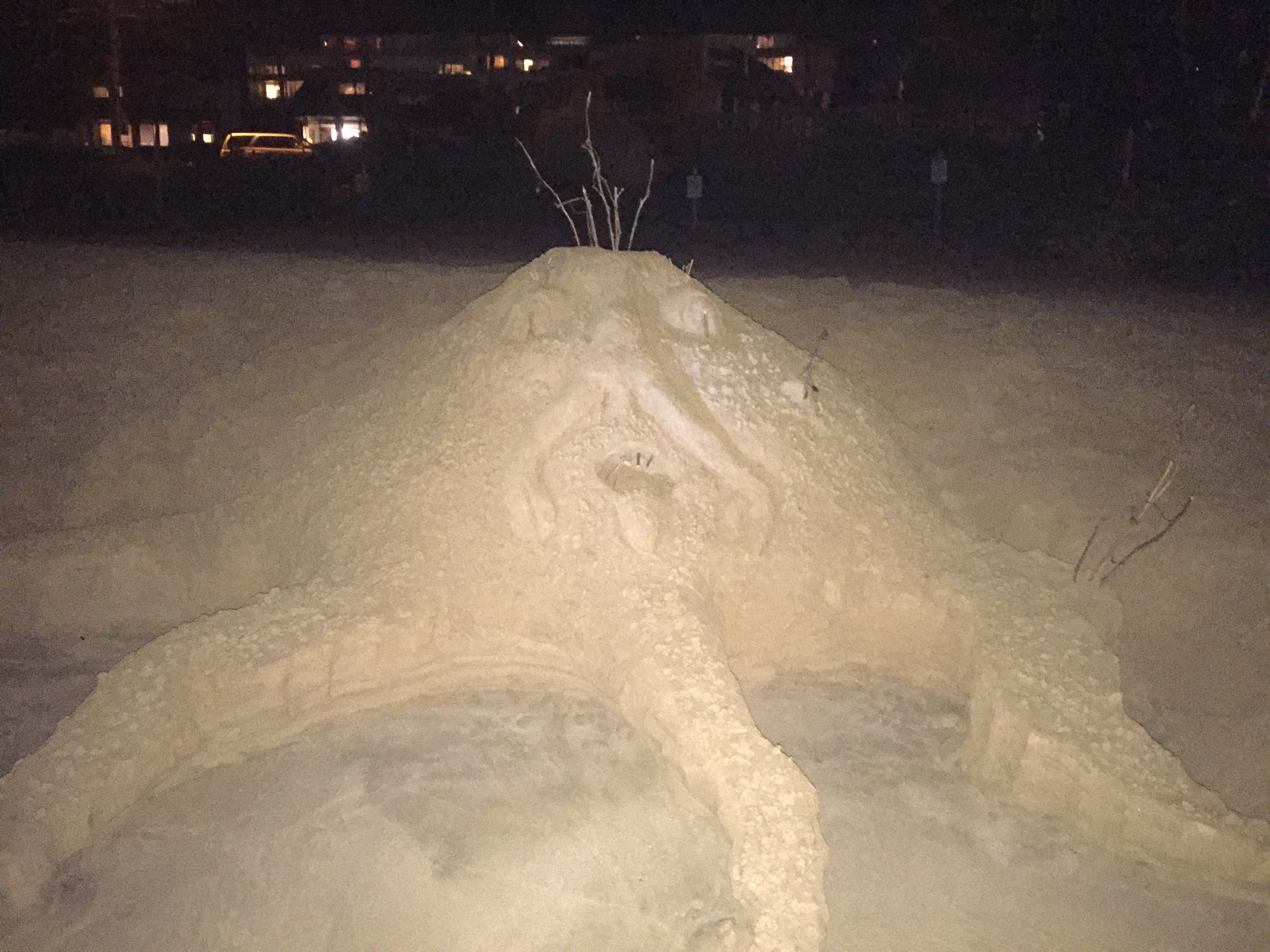 Sand sculpture of a sea creature photographed at night by flashlight on Kama'ole beach, condo lights glowing in the background