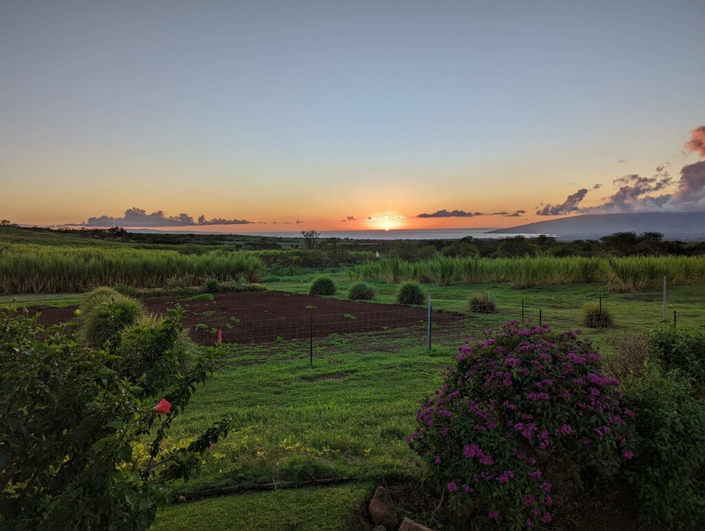 Ocean Organic Farm & Distillery sunset Maui