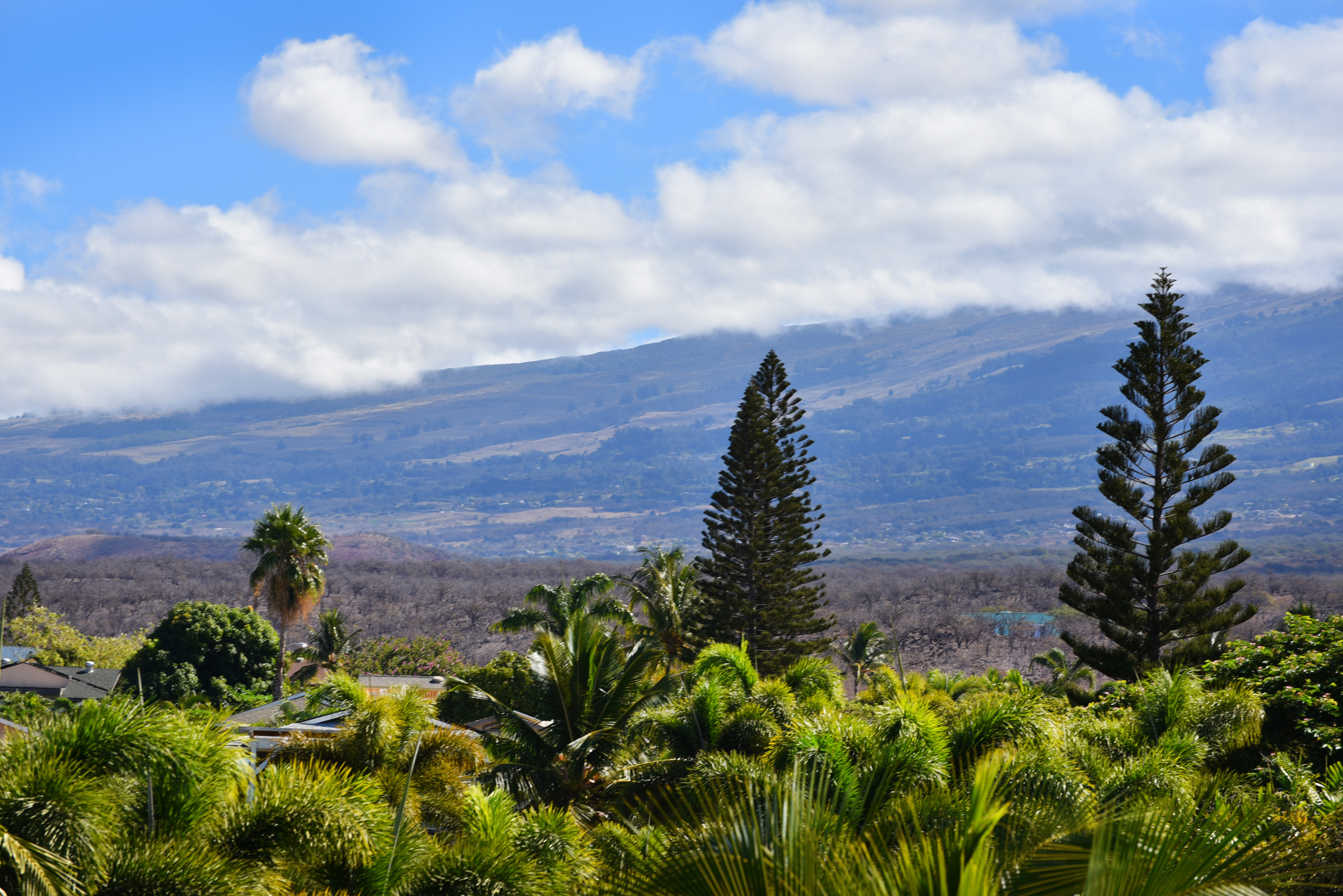 View from the lanai