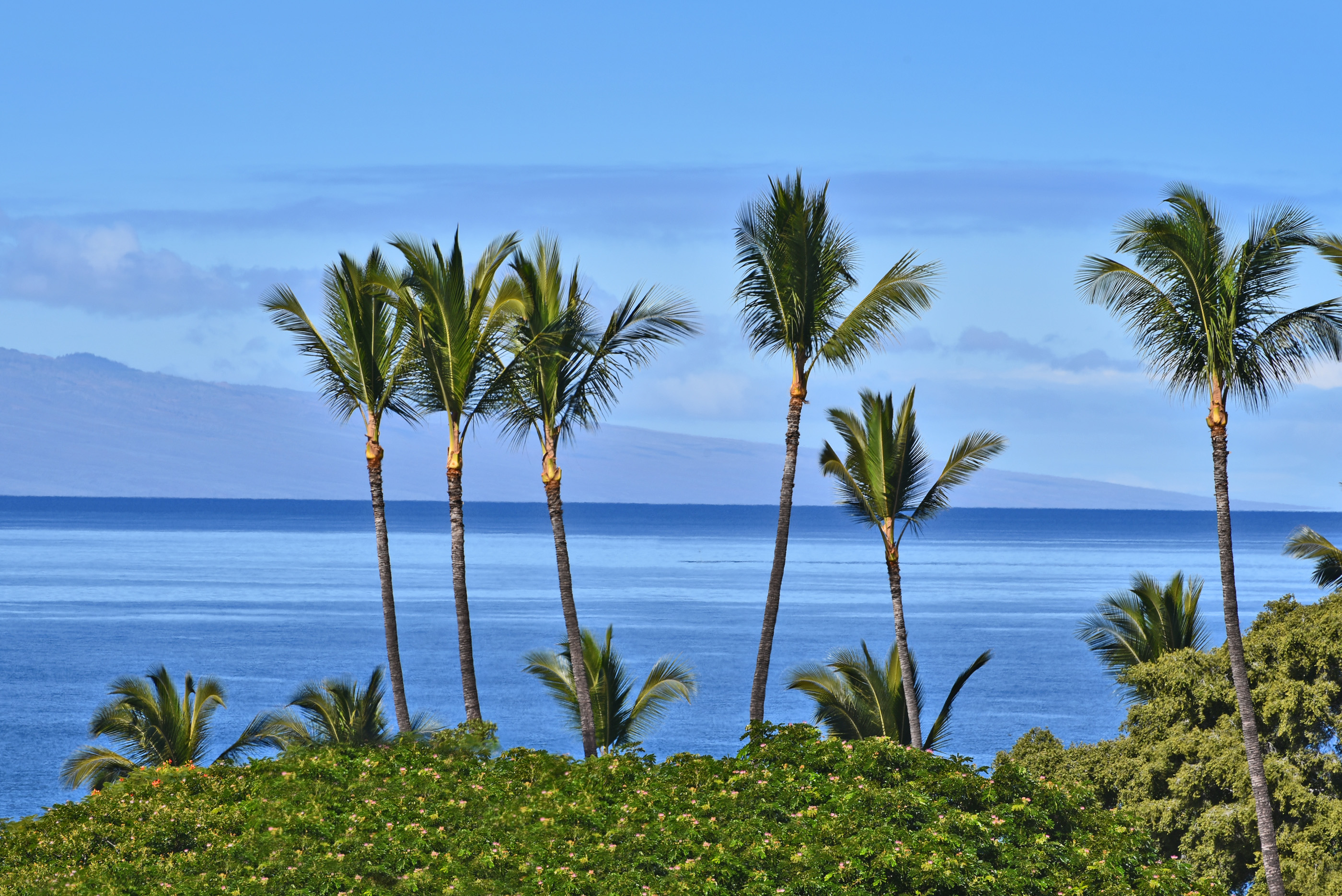 Maui ocean view