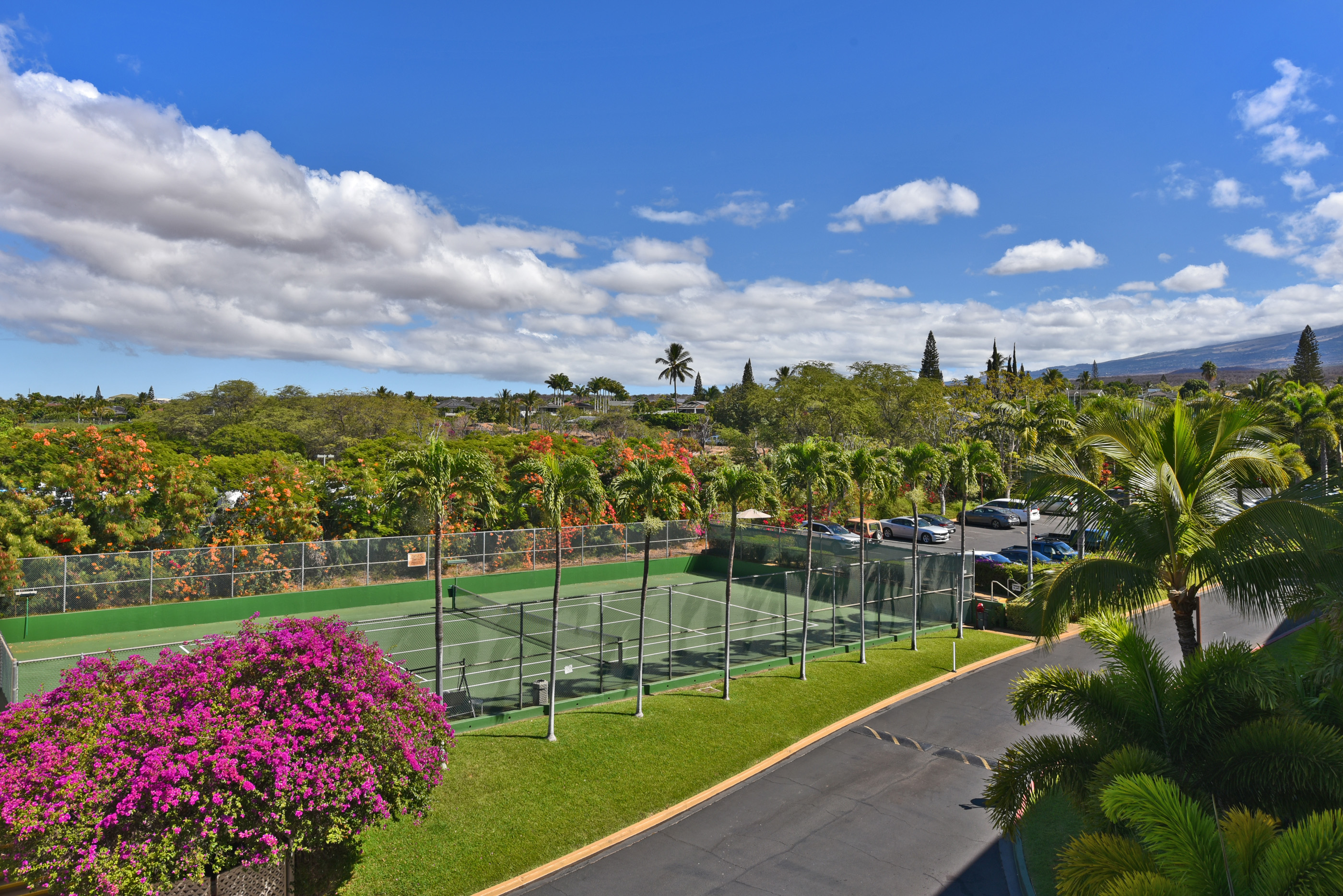 Lanai view 5