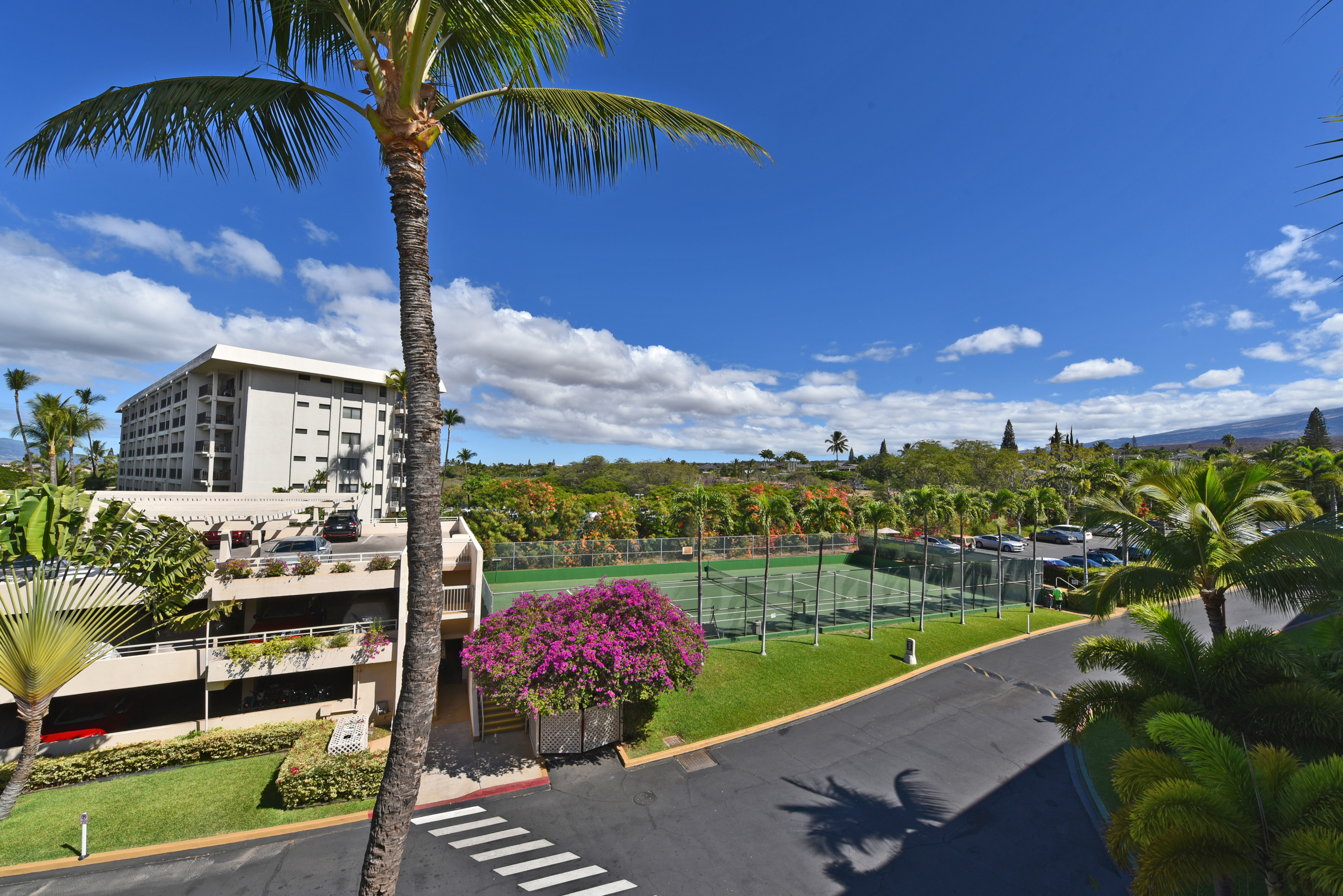 Lanai view 6