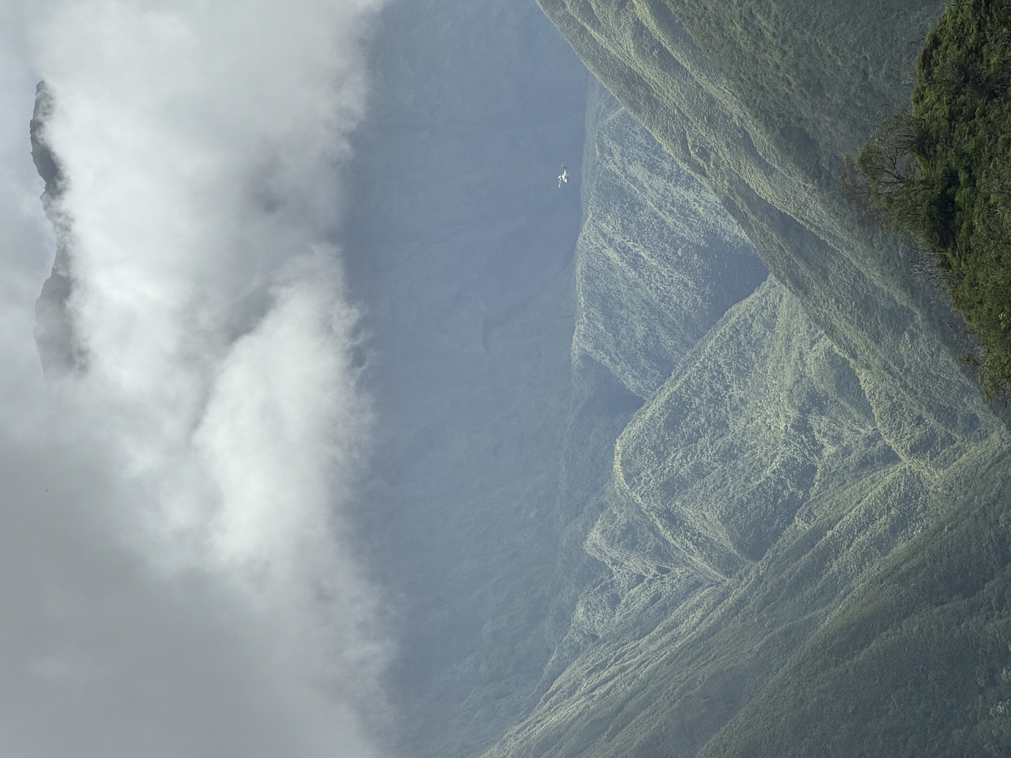 Waihe'e Valley from the Waihe'e Ridge Trail — fluted green ridges under a cloud cap, a tour helicopter dwarfed by the valley walls