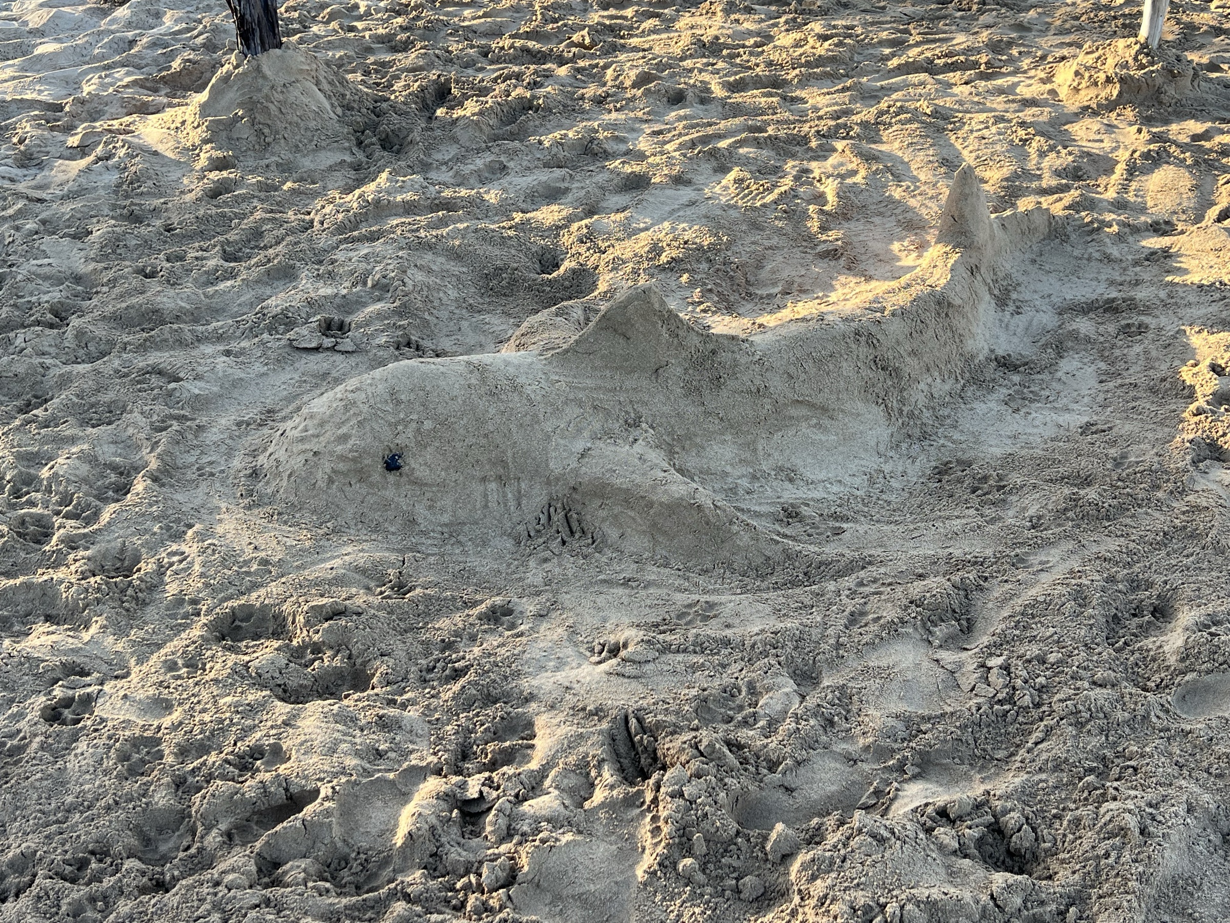 Sand castle sighting, Kama'ole Beach, June 26, 2026