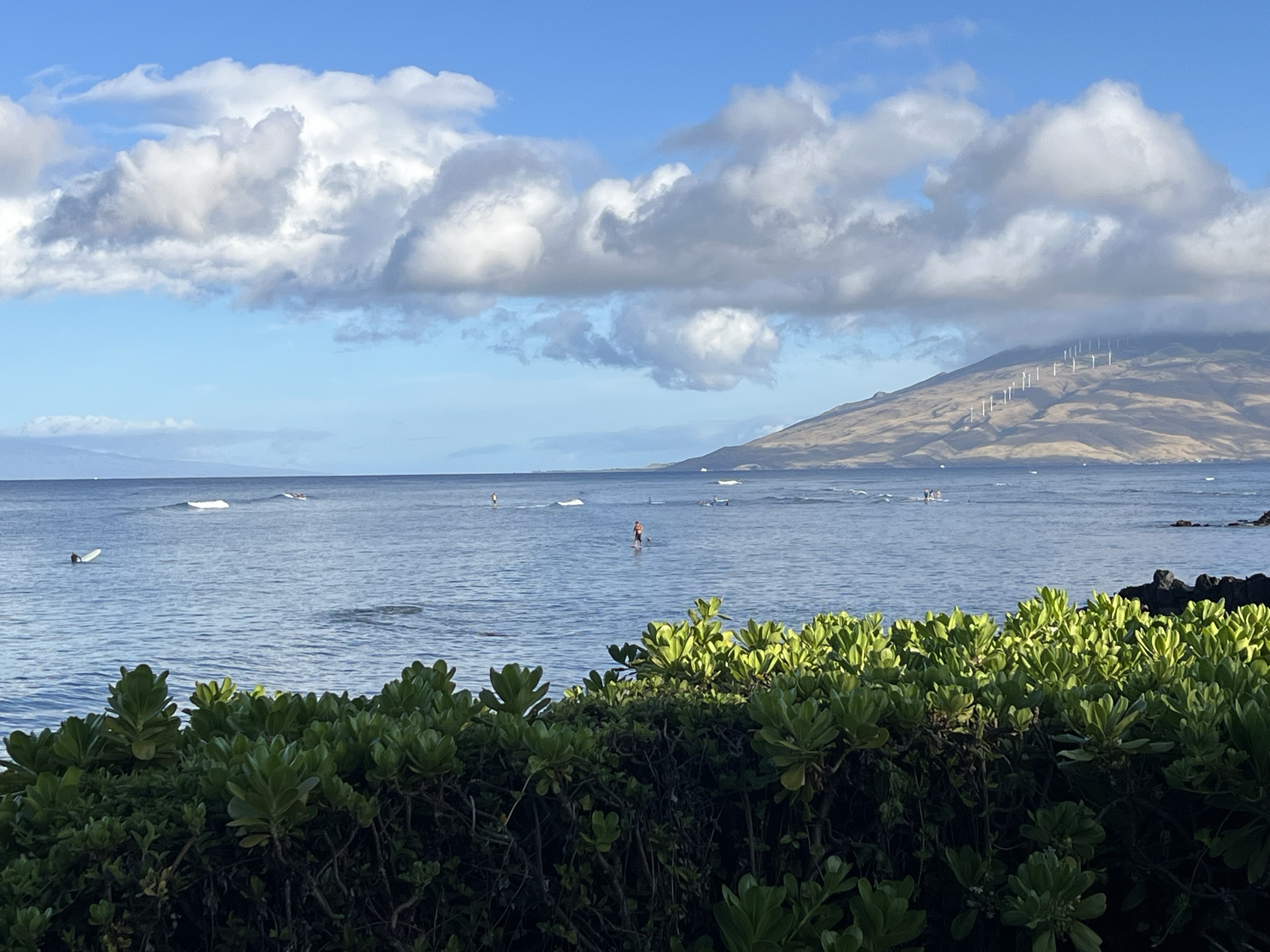 SUP paddlers on calm morning water off South Kihei, Maui — view from the morning beach walk