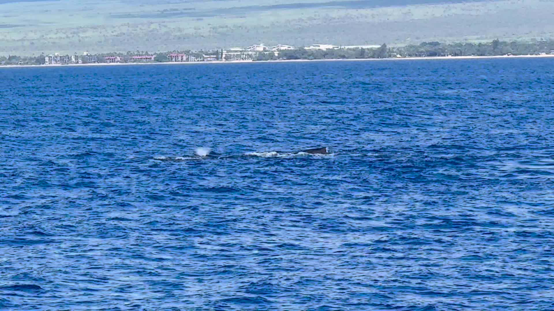 The channel waters off South Kihei, looking toward the outer islands — prime humpback whale viewing from shore