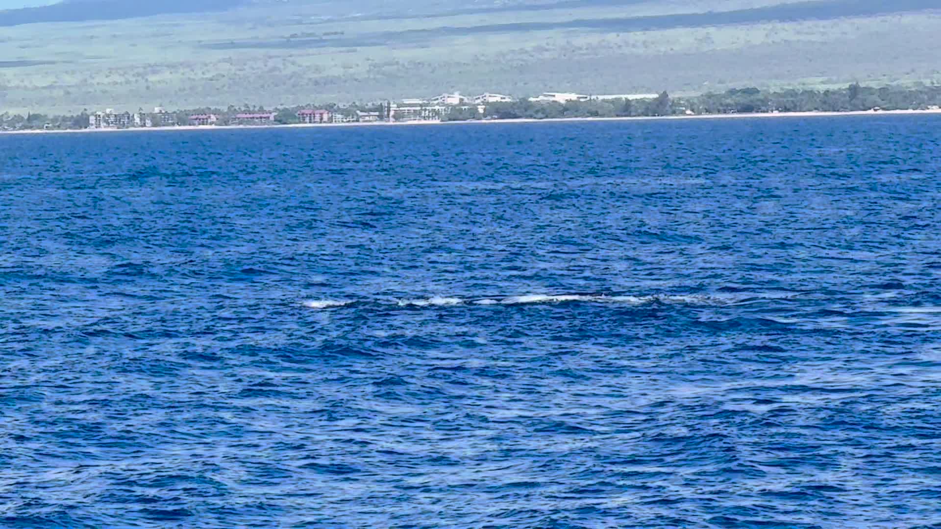 Humpback whale blow hanging over the channel, West Maui shoreline behind
