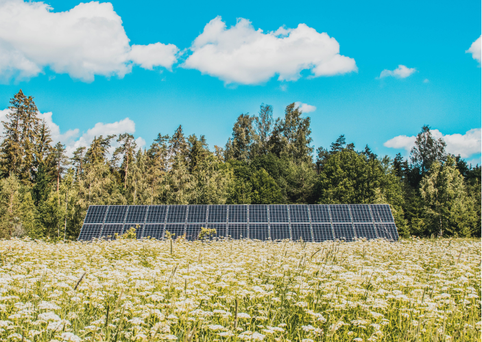 Solar panels in the swedish countryside