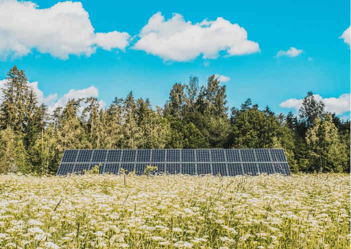 Solpaneler vid svensk sommaräng