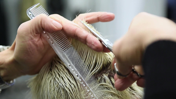 HAIR CUTTING TECHNIQUES FOR ALL SKILLS