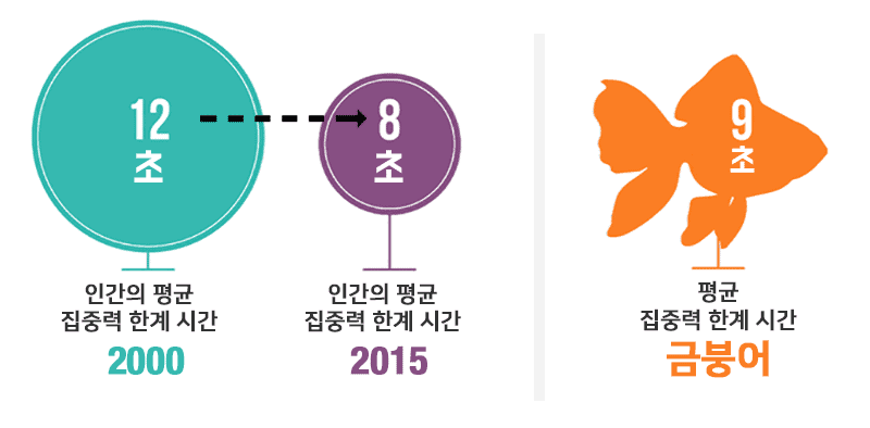 인간과 금붕어의 집중력 한계 비교