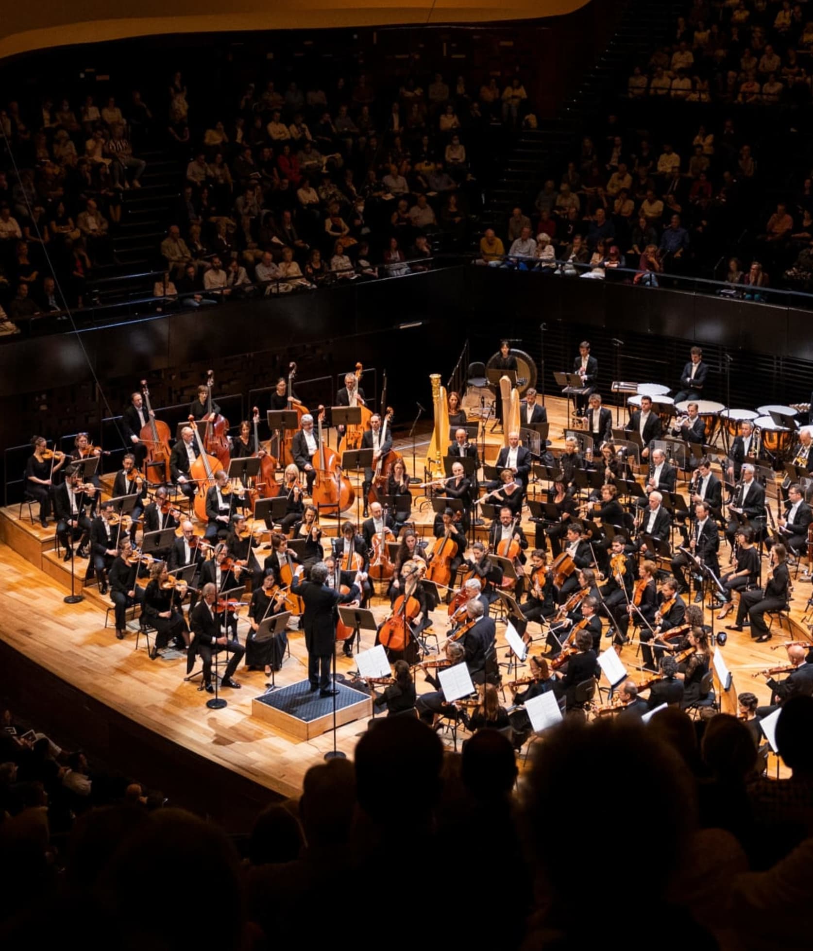Shows of season 24/25 watch online on Paris Opera Play
