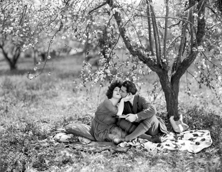 La Dame Aux Camelias A Cinematic Story Opera National De Paris